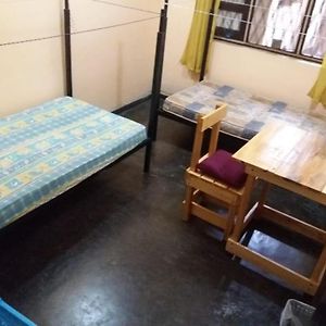 Bed 4-Bed Mixed Dormitory Room